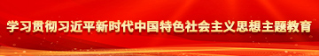 巴樂草操逼網站学习贯彻习近平新时代中国特色社会主义思想主题教育